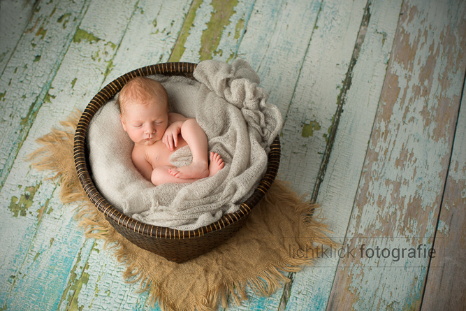 Neugeborenenfotos Max, 7 Tage