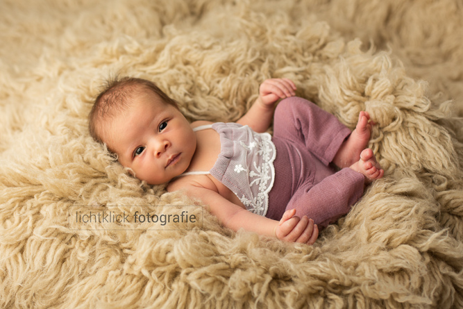 Neugeborenenfotos Zoe, 12 Tage