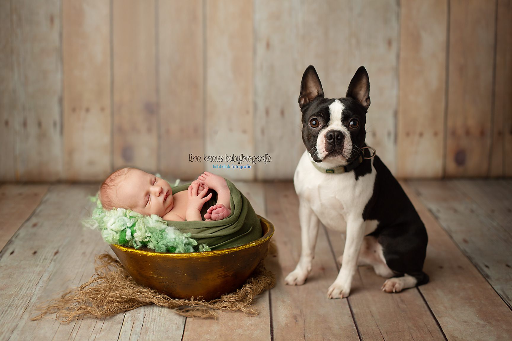 Babyfotos Stuttgart