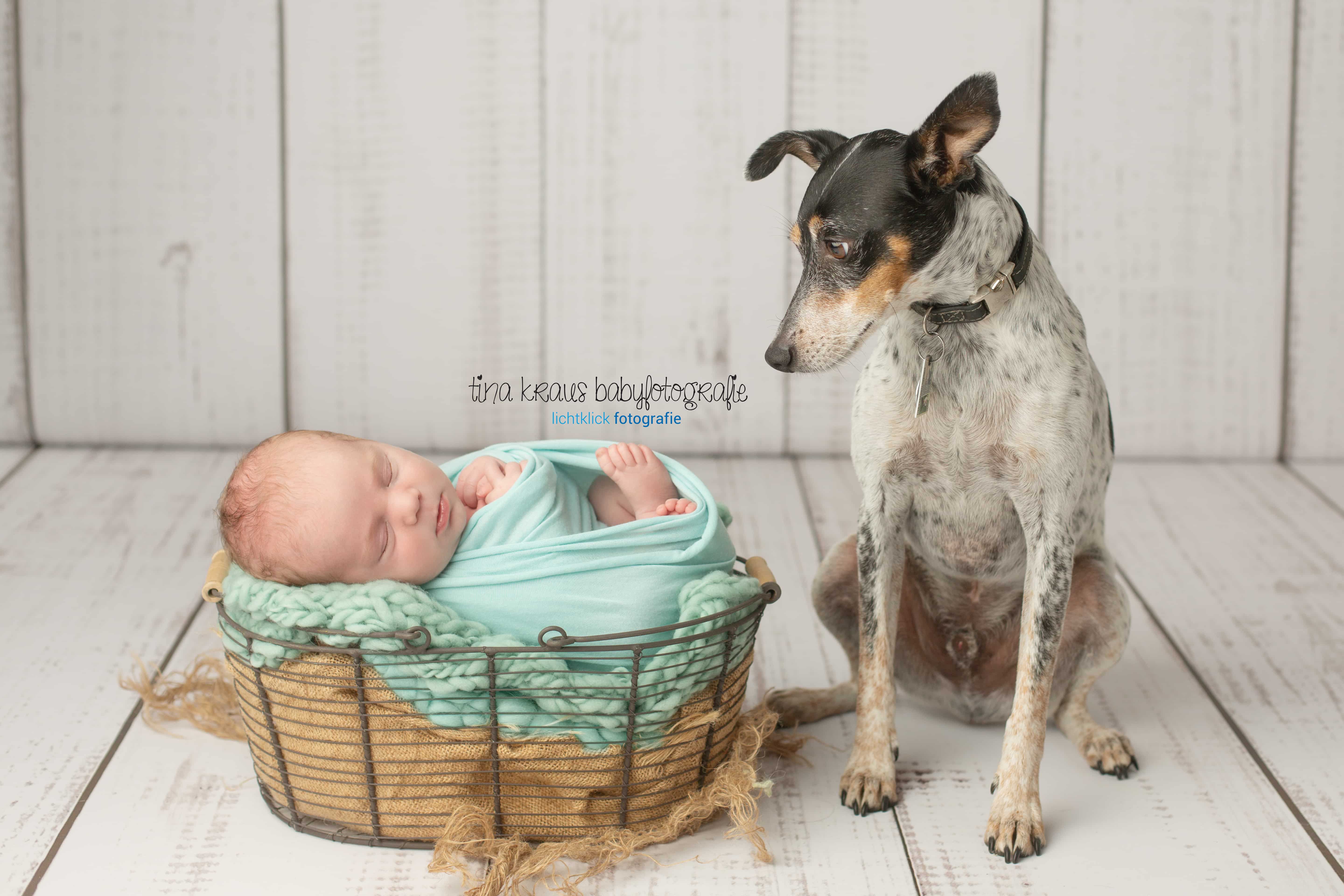 Babyfotos Stuttgart