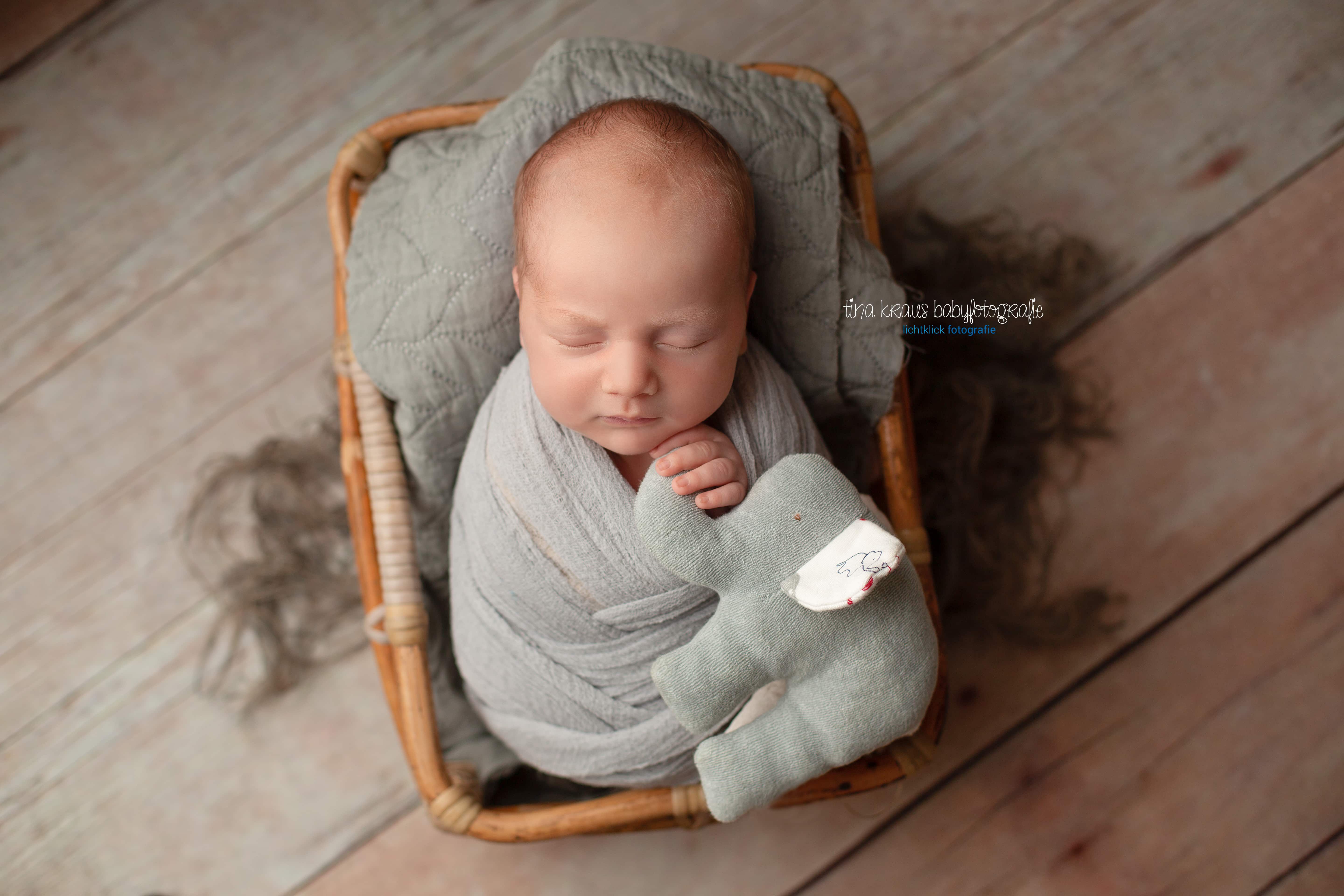 Babyfoto Stuttgart